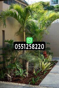 ديكورات حدائق منزلية مميزة بالرياض