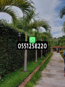 تنسيق حدائق خارجية في الرياض