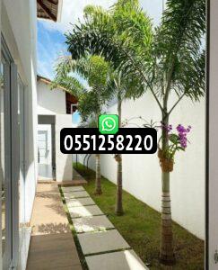 تزيين الحدائق المنزلية واحواش بالرياض بأسعار مناسبة