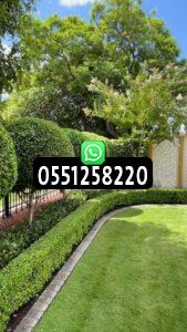 تنسيق وتزيين الحدائق المنزلية والأحواش في الرياض بتصاميم عصرية وطبيعية